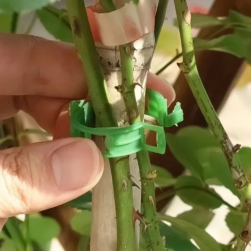 Gardening Tools For Vines - คลิปพลาสติกสำหรับพยุงต้นไม้ 50-100 ชิ้น ใช้ซ้ำได้ อุปกรณ์ป้องกันเถาวัลย์และยึดต้นไม้สำหรับผัก มะเขือเทศ