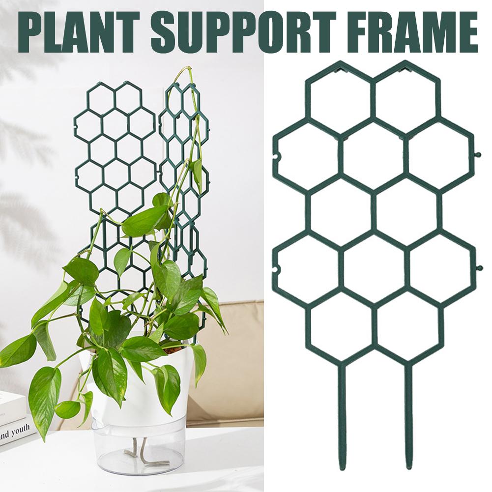โครงพลาสติกสำหรับพยุงต้นไม้ 1/ - Gardening Tools For Vines บทวิจารณ์และราคา