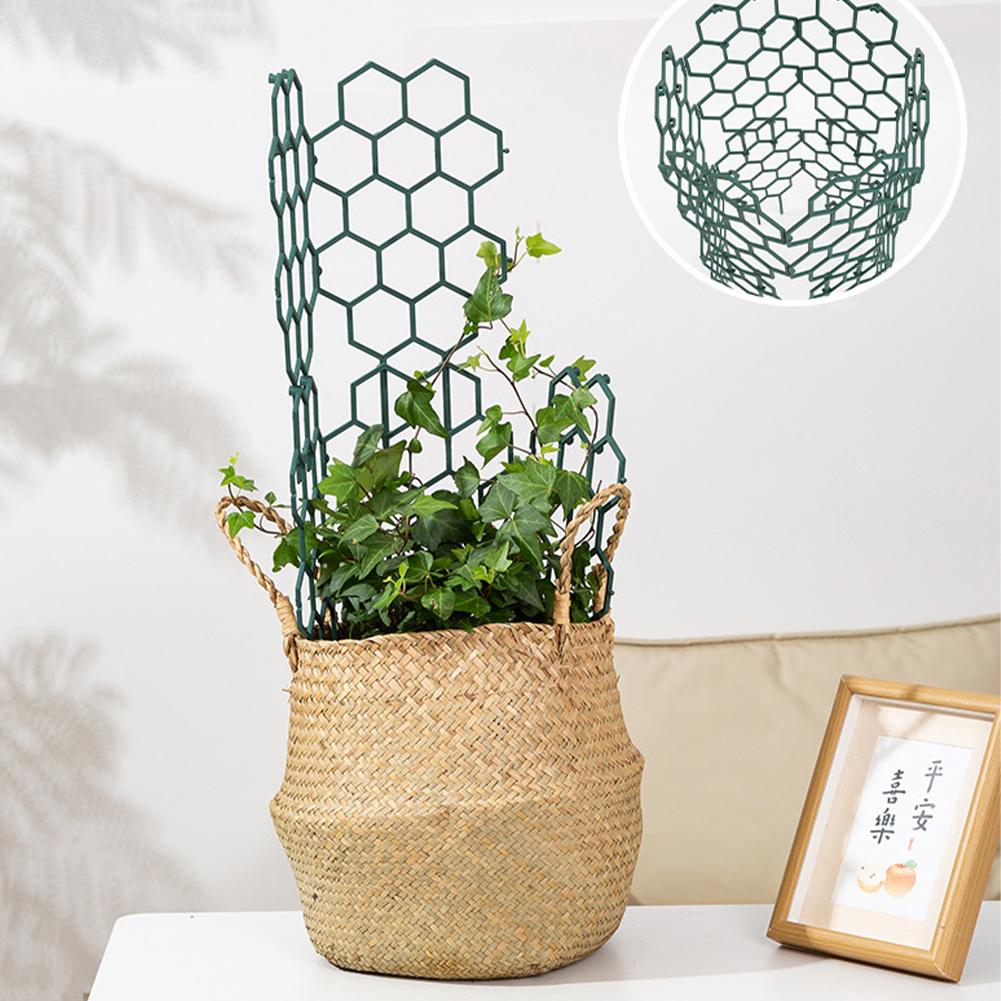 โครงพลาสติกสำหรับพยุงต้นไม้ 1/ - Gardening Tools For Vines บทวิจารณ์และราคา
