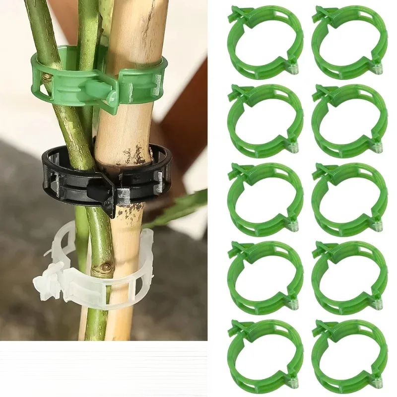 คลิปพลาสติกสำหรับพยุงต้นไม้ 50 - Gardening Tools For Vines บทวิจารณ์และราคา