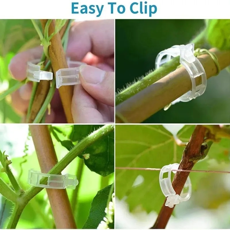 คลิปพลาสติกสำหรับพยุงต้นไม้ 50 - Gardening Tools For Vines บทวิจารณ์และราคา