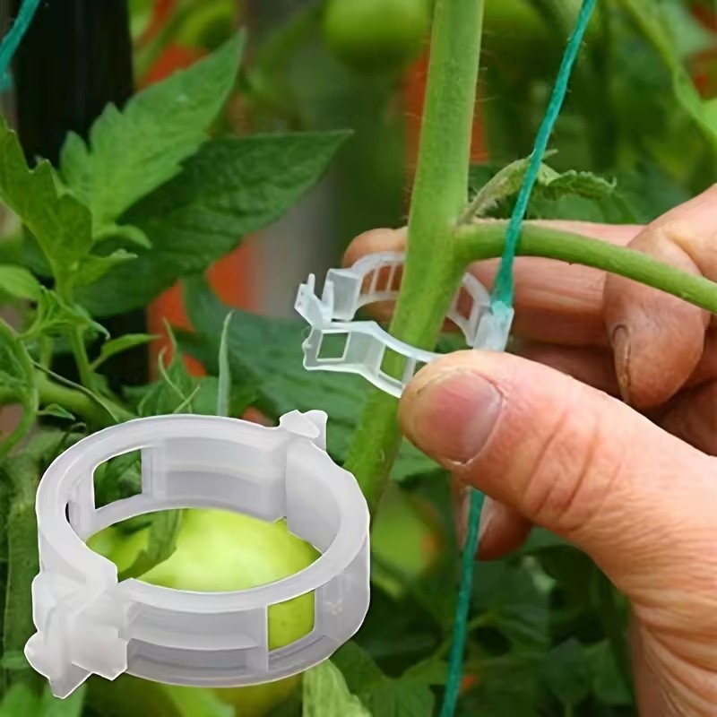 คลิปหนีบต้นไม้ 20 ชิ้น สำหรับย - Gardening Tools For Vines บทวิจารณ์และราคา