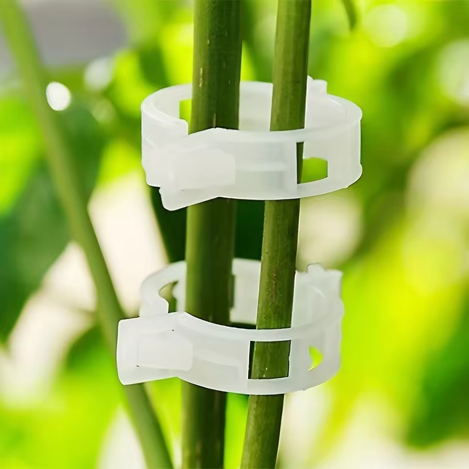 คลิปหนีบต้นไม้ 20 ชิ้น สำหรับย - Gardening Tools For Vines บทวิจารณ์และราคา