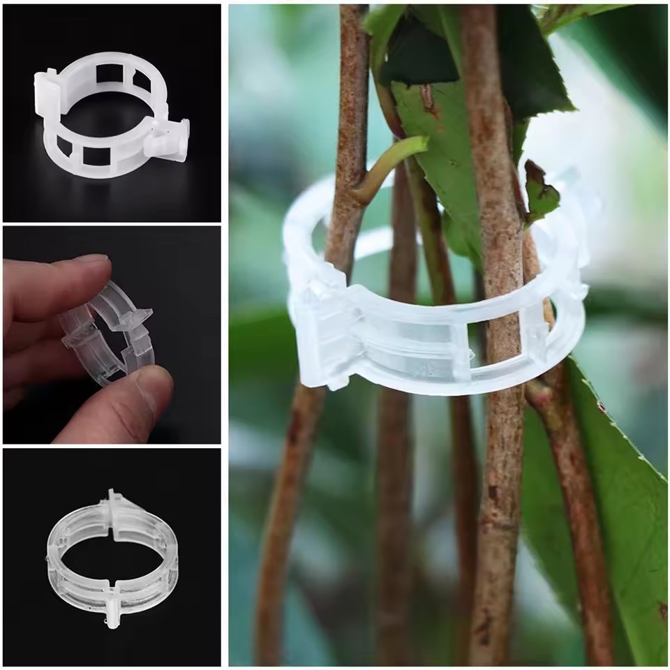 คลิปหนีบต้นไม้ 20 ชิ้น สำหรับย - Gardening Tools For Vines บทวิจารณ์และราคา