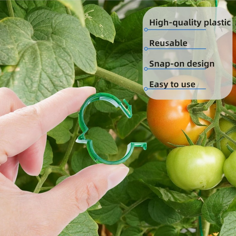 คลิปพลาสติกสำหรับยึดต้นไม้ 10/ - Gardening Tools For Vines บทวิจารณ์และราคา