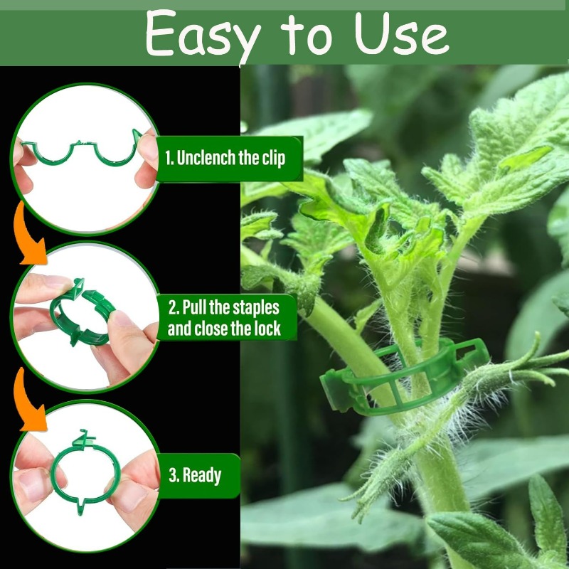 คลิปพลาสติกสำหรับยึดต้นไม้ 10/ - Gardening Tools For Vines บทวิจารณ์และราคา