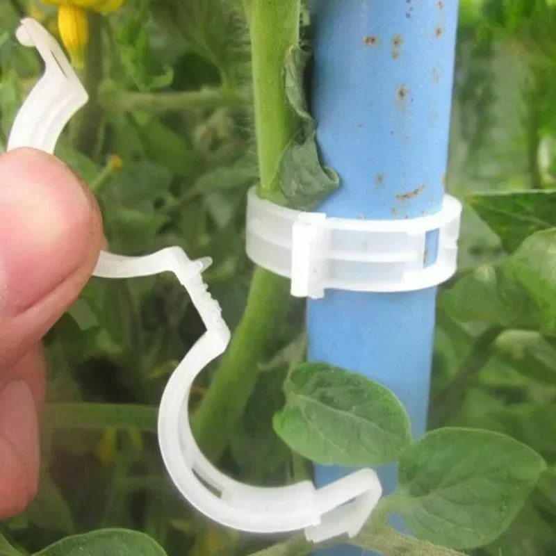 คลิปหนีบยึดต้นไม้แบบใช้ซ้ำได้  - Gardening Tools For Vines บทวิจารณ์และราคา