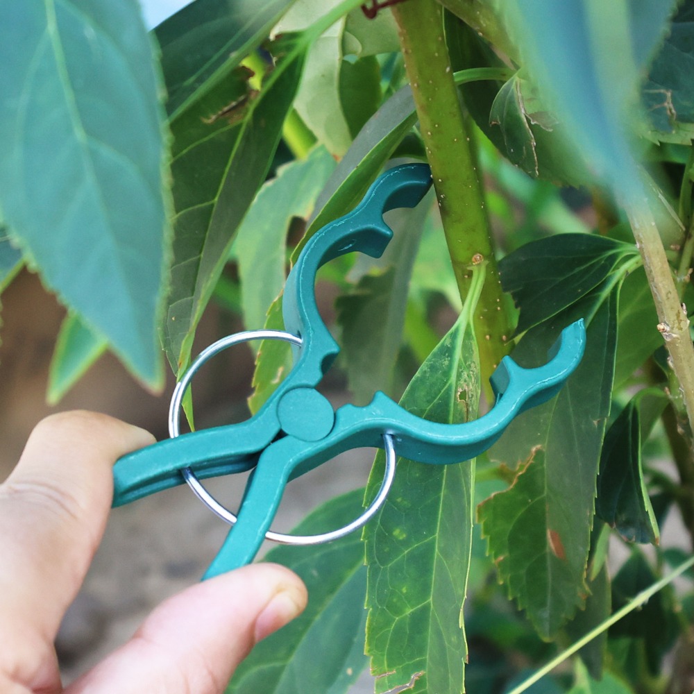 คลิปหนีบยึดต้นไม้ 50/10 ชิ้น ส - Gardening Tools For Vines บทวิจารณ์และราคา