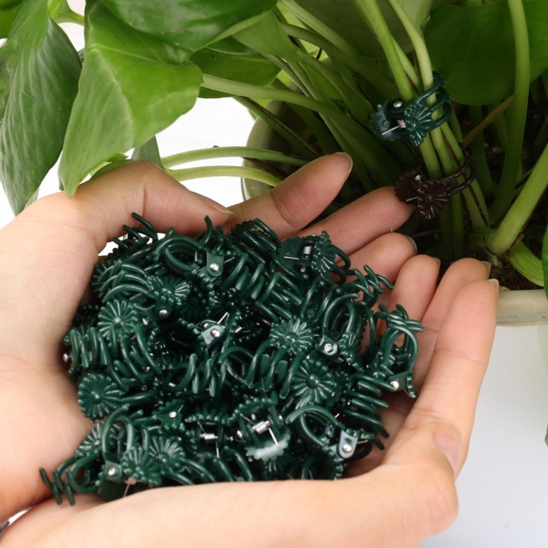 คลิปหนีบต้นไม้ขนาดเล็กสำหรับขา - Gardening Tools Wholesale บทวิจารณ์และราคา