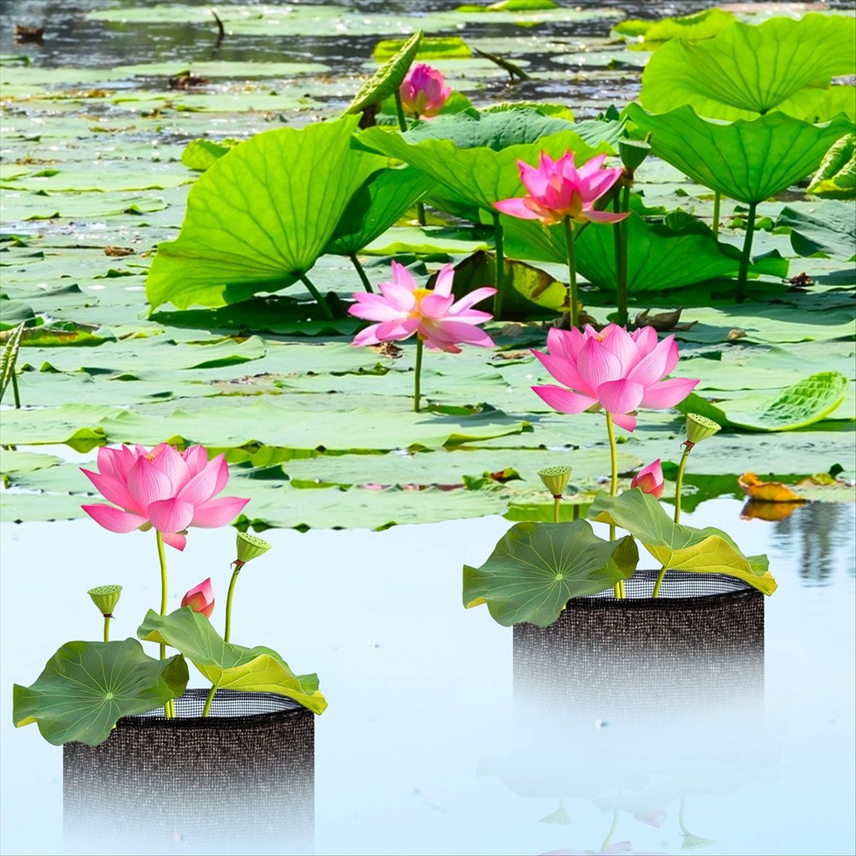 BHBL ถุงปลูกพืชน้ำ 4 ชิ้น - กร - Gardening Hand Tools B&Q บทวิจารณ์และราคา