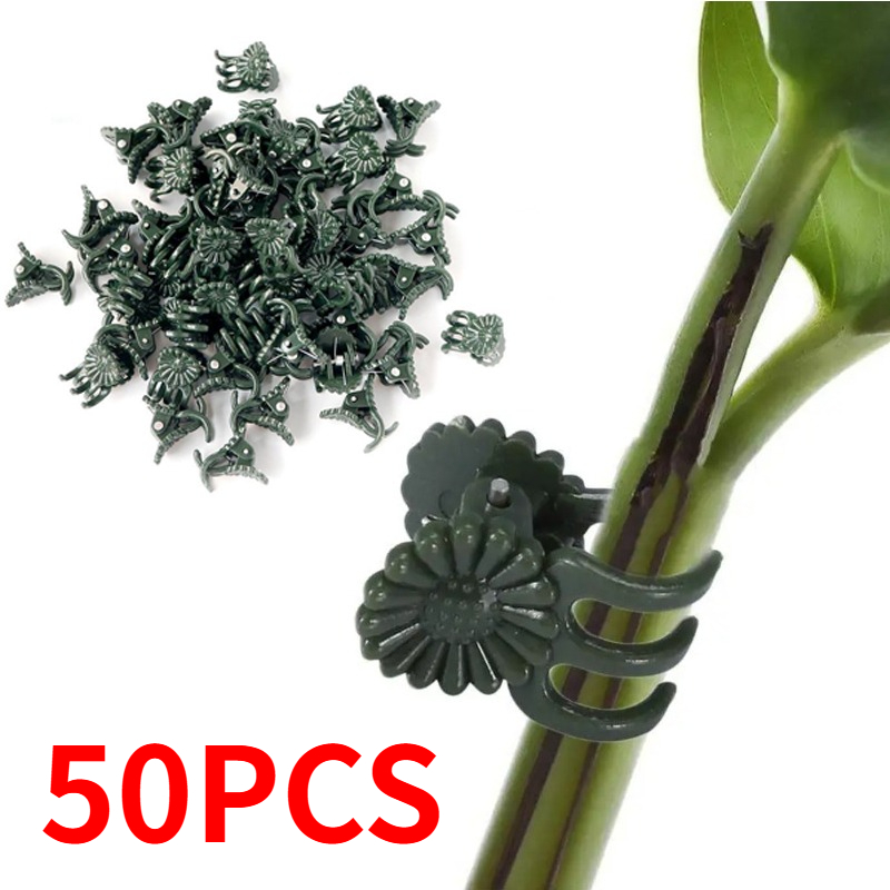 คลิปหนีบต้นไม้สีเขียวเข้มแบบ 5 - Gardening Tools For Vines บทวิจารณ์และราคา