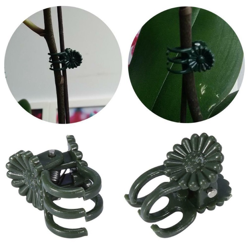 คลิปหนีบต้นไม้สีเขียวเข้มแบบ 5 - Gardening Tools For Vines บทวิจารณ์และราคา