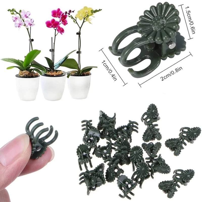 คลิปหนีบต้นไม้สีเขียวเข้มแบบ 5 - Gardening Tools For Vines บทวิจารณ์และราคา