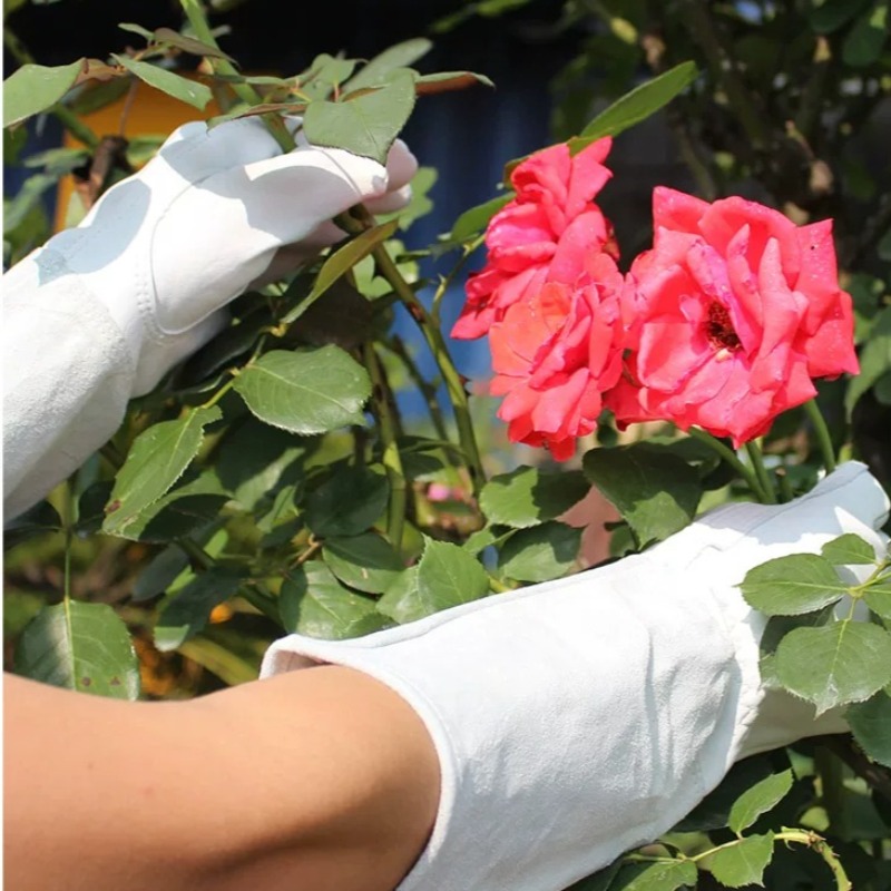 ถุงมือทำสวนกันหนาม กันน้ำ สำหร - Garden Gloves Thorn Proof บทวิจารณ์และราคา