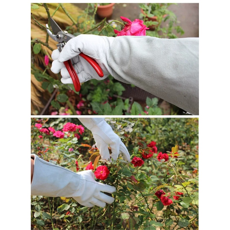 ถุงมือทำสวนกันหนาม กันน้ำ สำหร - Garden Gloves Thorn Proof บทวิจารณ์และราคา