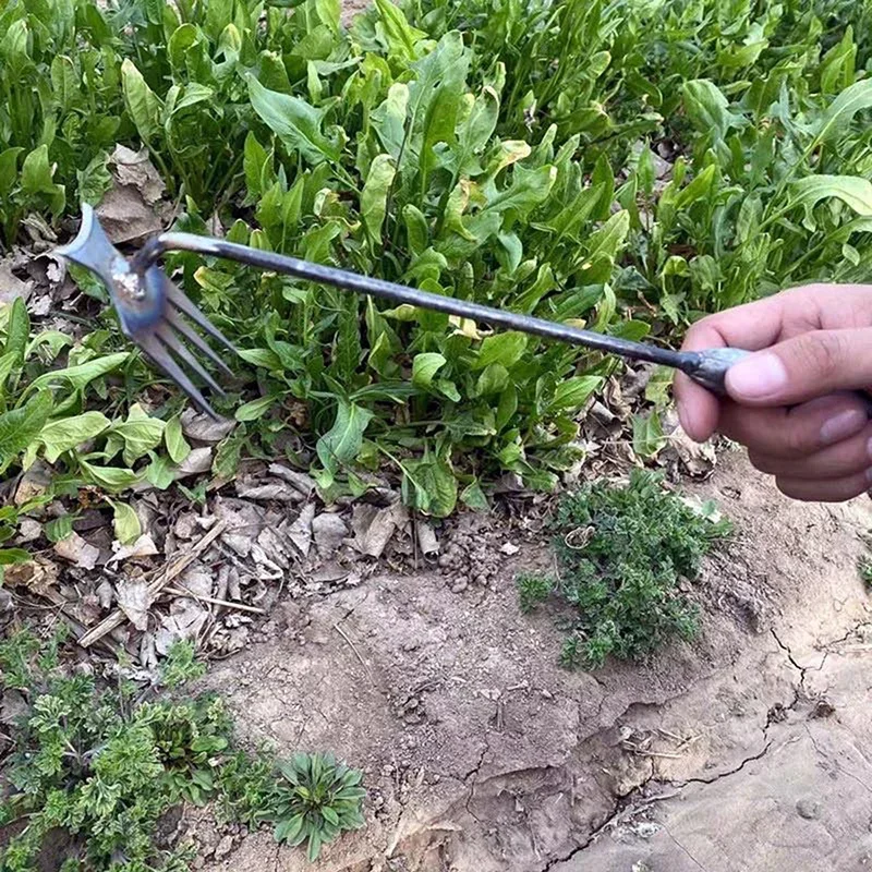 เครื่องกำจัดวัชพืชในสวน, เครื่ - Weed Puller บทวิจารณ์และราคา