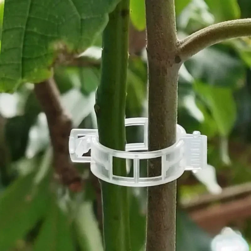 คลิปยึดต้นไม้แบบใช้ซ้ำได้ คลิป - Gardening Tools For Vines บทวิจารณ์และราคา