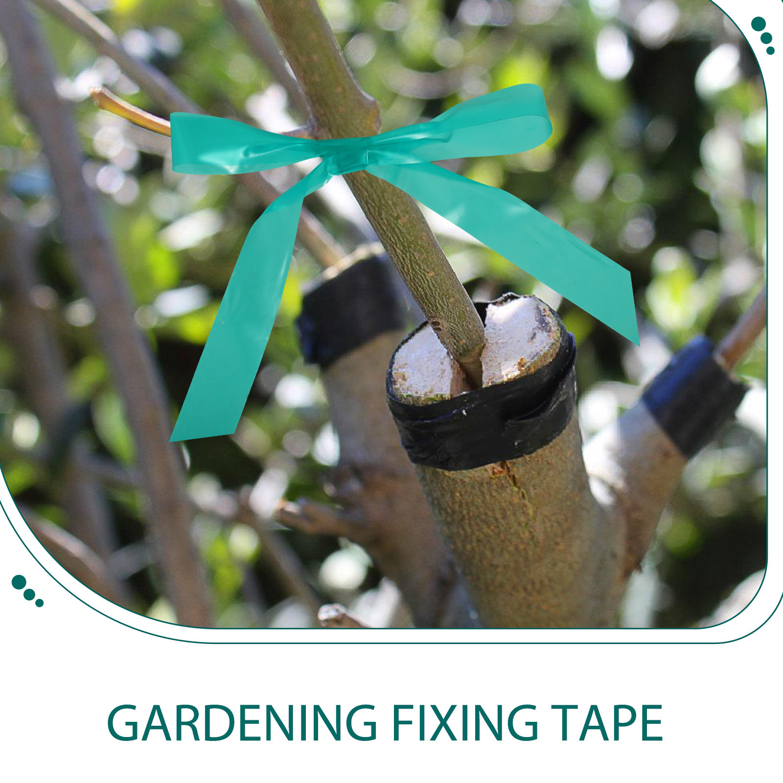 เทปยึดกิ่งไม้แบบยืดหยุ่น 2 ม้ว - Grafting Tape บทวิจารณ์และราคา