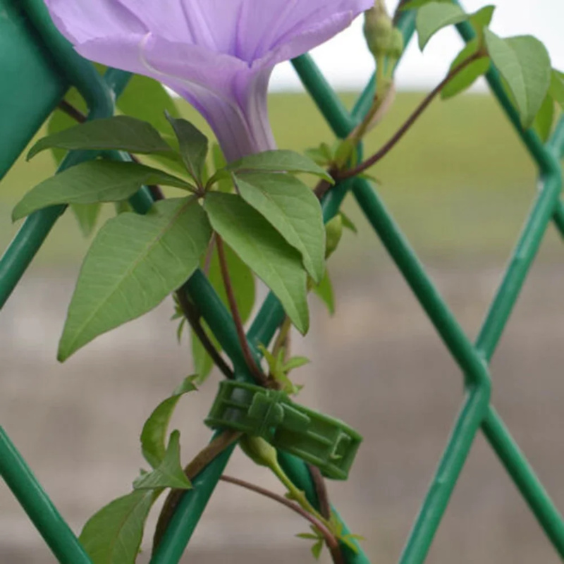 100 PCS/พืชสนับสนุนคลิปผูกพลาส - Gardening Tools Usa บทวิจารณ์และราคา