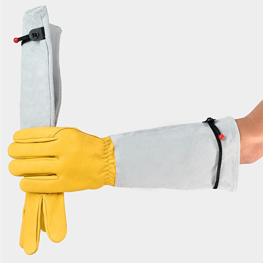 ถุงมือทำสวนแบบแขนยาวป้องกันหนา - Garden Gloves Thorn Proof บทวิจารณ์และราคา