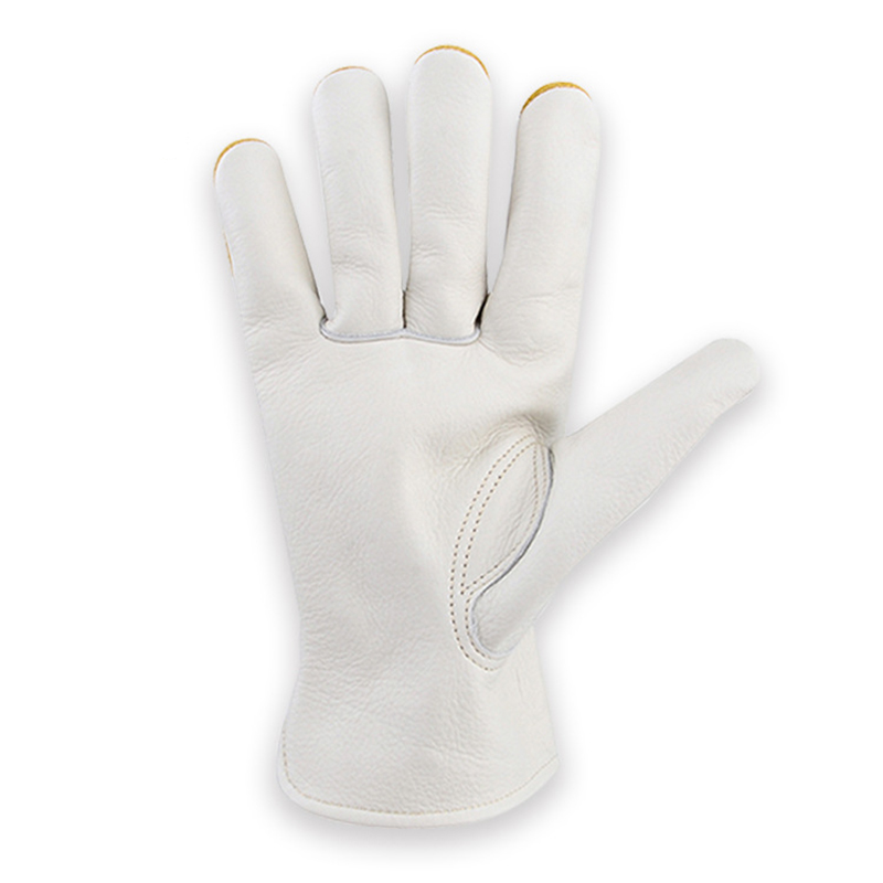 หนังถุงมือเซฟตี้สวนช่างไม้ถุงม - Garden Gloves Thorn Proof บทวิจารณ์และราคา