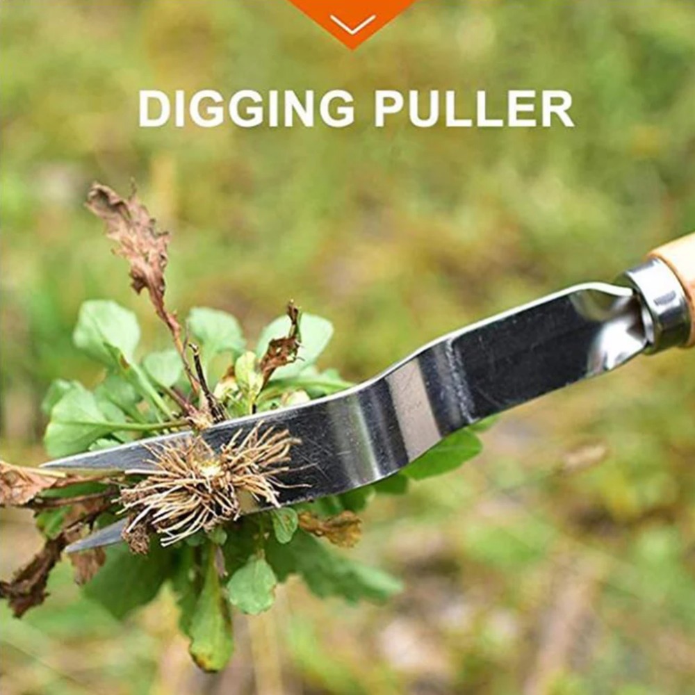 เครื่องกำจัดวัชพืชในสวนสแตนเลส - Weed Puller บทวิจารณ์และราคา