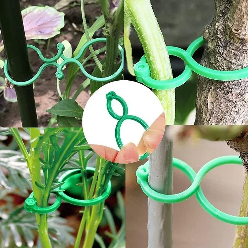 คลิปหนีบพลาสติกสำหรับมัดต้นไม้ - Gardening Tools For Vines บทวิจารณ์และราคา