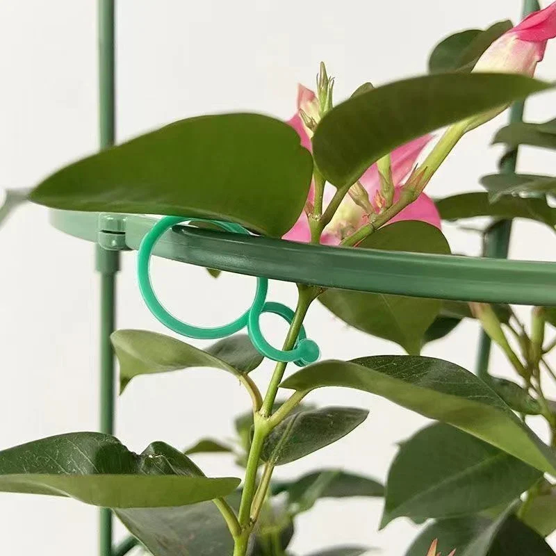 คลิปหนีบพลาสติกสำหรับมัดต้นไม้ - Gardening Tools For Vines บทวิจารณ์และราคา