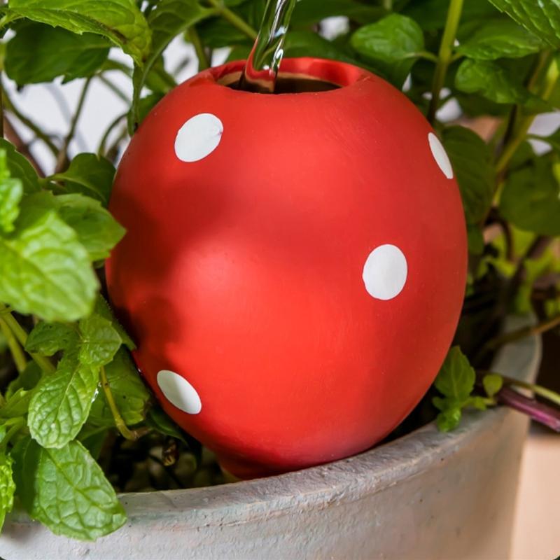 รดน้ำหลอดไฟเซรามิกหม้อช้าปล่อย - Gardening Tools Description บทวิจารณ์และราคา
