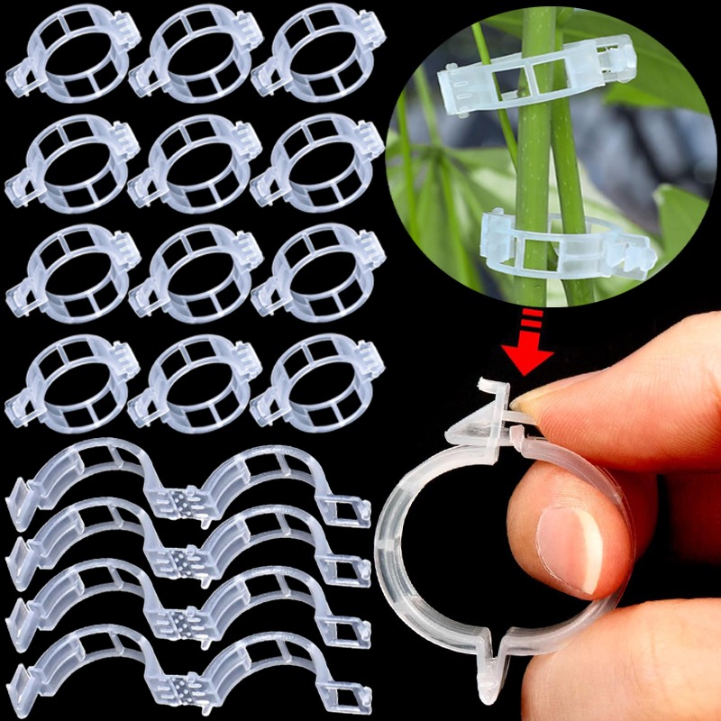 คลิปหนีบยึดต้นไม้แบบใช้ซ้ำได้  - Gardening Tools For Vines บทวิจารณ์และราคา
